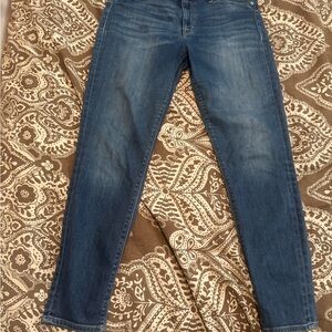 Hudson Jeans Blue Skinny Denim